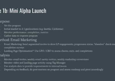 Marketing Strategy Alpha Launch