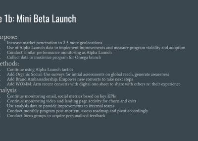 Marketing Strategy Beta Launch
