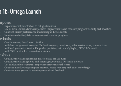 Marketing Strategy Omega Launch